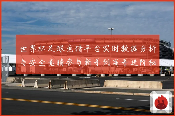 世界杯足球竞猜平台实时数据分析与安全竞猜参与新手到高手进阶秘数据研判-深度解析