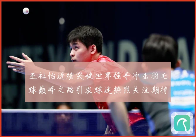 王祉怡连续突破世界强手冲击羽毛球巅峰之路引发球迷热烈关注期待-深度解析