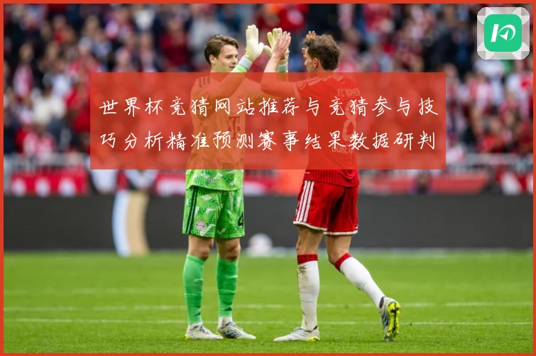 世界杯竞猜网站推荐与竞猜参与技巧分析精准预测赛事结果数据研判-深度解析