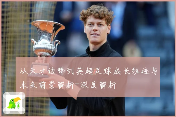 从天才边锋到英超足球成长轨迹与未来前景解析-深度解析